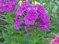 �N�T�L���E�`�N�g�E