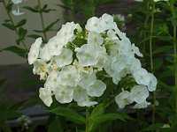 �N�T�L���E�`�N�g�E