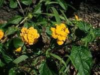 �����^�i