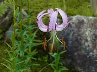 �����E���E�����R���Q���Z