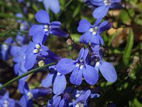 �����~�]�J�N�V