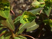 �}���~�m�E���V