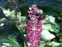 �}���~�m���}�S�{�E