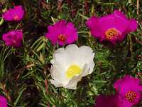 �}�c�o�{�^��