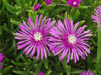 �}�c�o�M�N