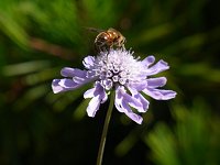 �}�c���V�\�E