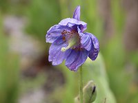 ���R�m�v�V�X