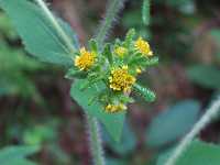 ���i���~