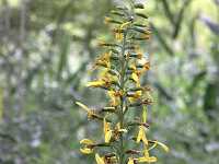 ���^�J���R�E