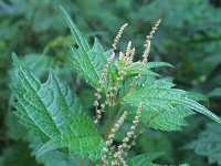 �����u�}�I