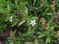 �~�l�Y�I�E