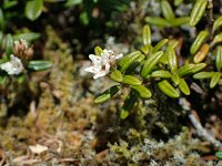 �~�l�Y�I�E