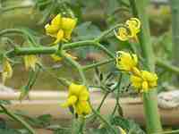 �~�j�g�}�g