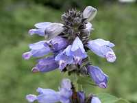 �~�\�K���\�E