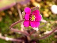 �~�X�~�\�E