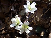 �~�X�~�\�E