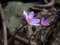 �~�X�~�\�E