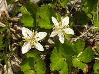 �~�c�o�I�E����