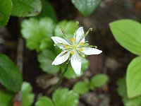 �~�c�o�I�E����