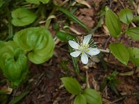 �~�c�o�I�E����