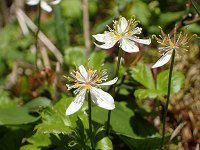 �~�c�o�I�E����