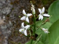 �~�c�K�V��