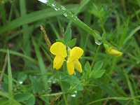 �~���R�O�T