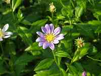 �~���R���X��