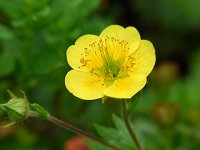 �~���}�_�C�R���\�E