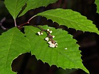 �~���}�n�n�\