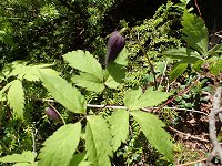 �~���}�n���V���E�d��