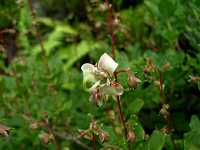 �~���}�z�c�c�W