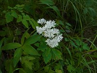 �~���}�J���}�c