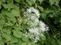 �~���}�J���}�c