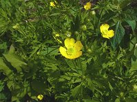 �~���}�L���|�E�Q