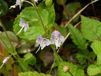 �~���}�N���K�^