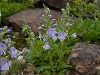 �~���}�N���K�^