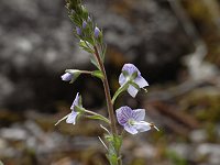 �~���}�N���K�^