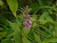 �~���}�}�}�R�i