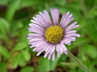 �~���}�m�M�N