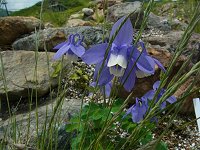 �~���}�I�_�}�L