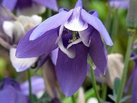 �~���}�I�_�}�L