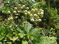 �~���}�I�g�R�����M