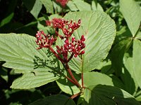 �~���}�V�O��