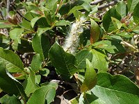 �~���}���i�M