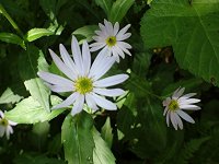 �~���}�����i