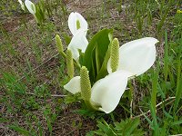 �~�Y�o�V���E