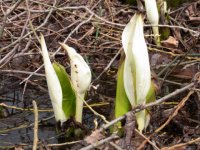 �~�Y�o�V���E