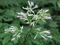 ���~�W�K�T