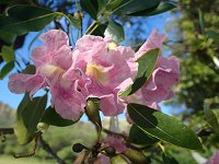 �����C���m�E�[��